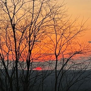 Meet your Posher, Skye